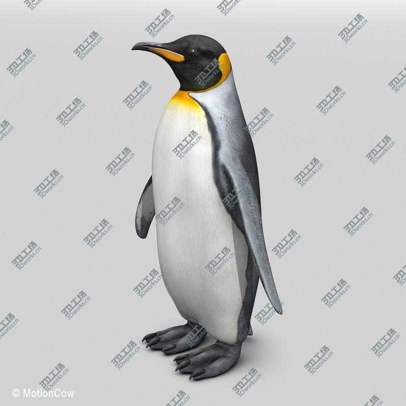 images/goods_img/202104023/Penguin  King/4.jpg